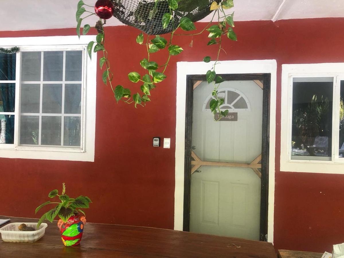 Habitacion Tortuga Casa Maria Bonita El Cuyo Dış mekan fotoğraf