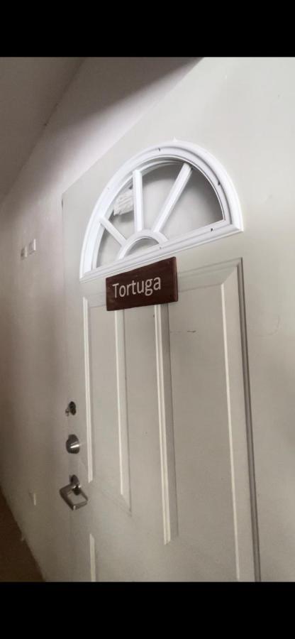 Habitacion Tortuga Casa Maria Bonita El Cuyo Dış mekan fotoğraf